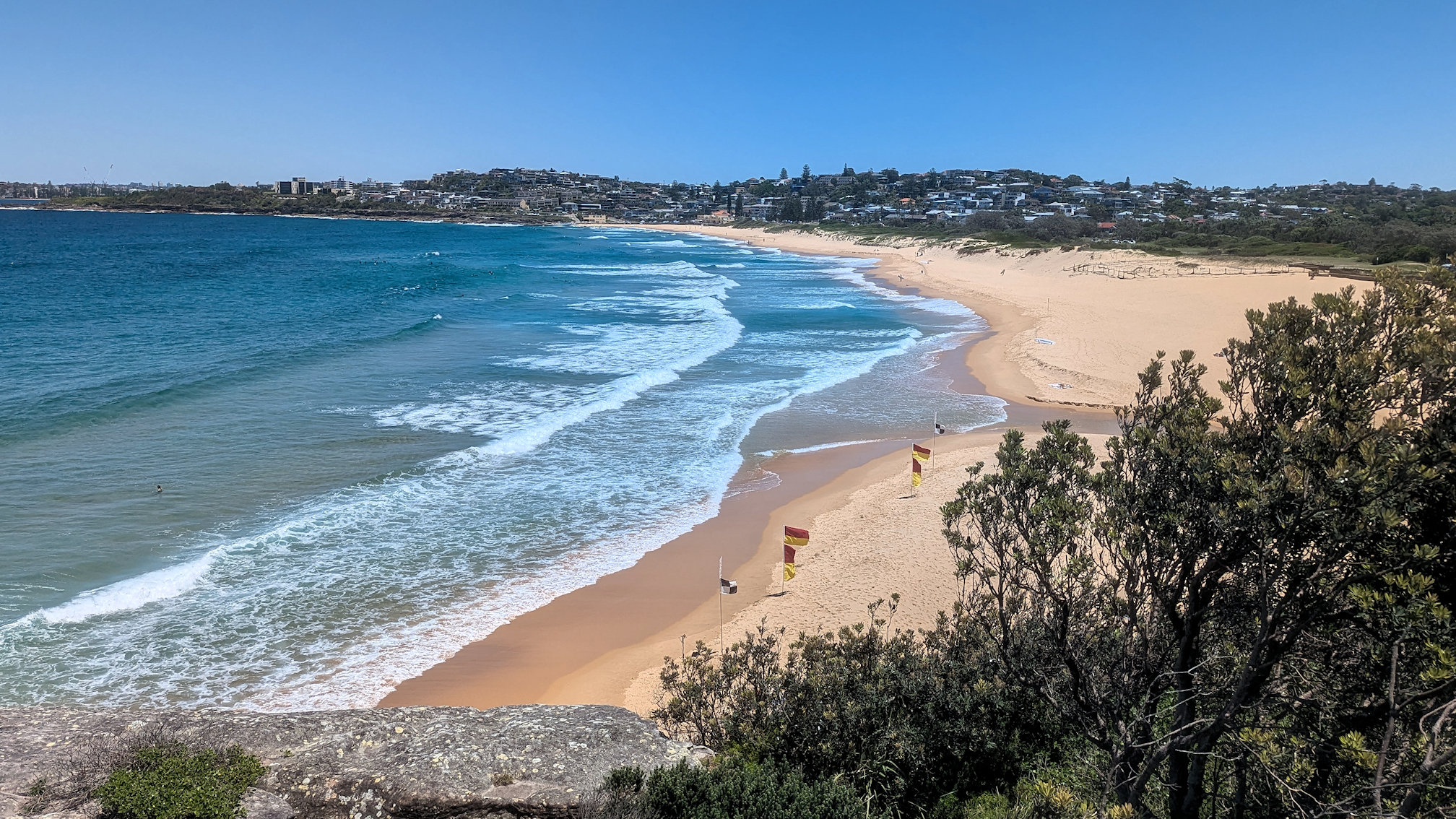 dy_curlcurl track (14)